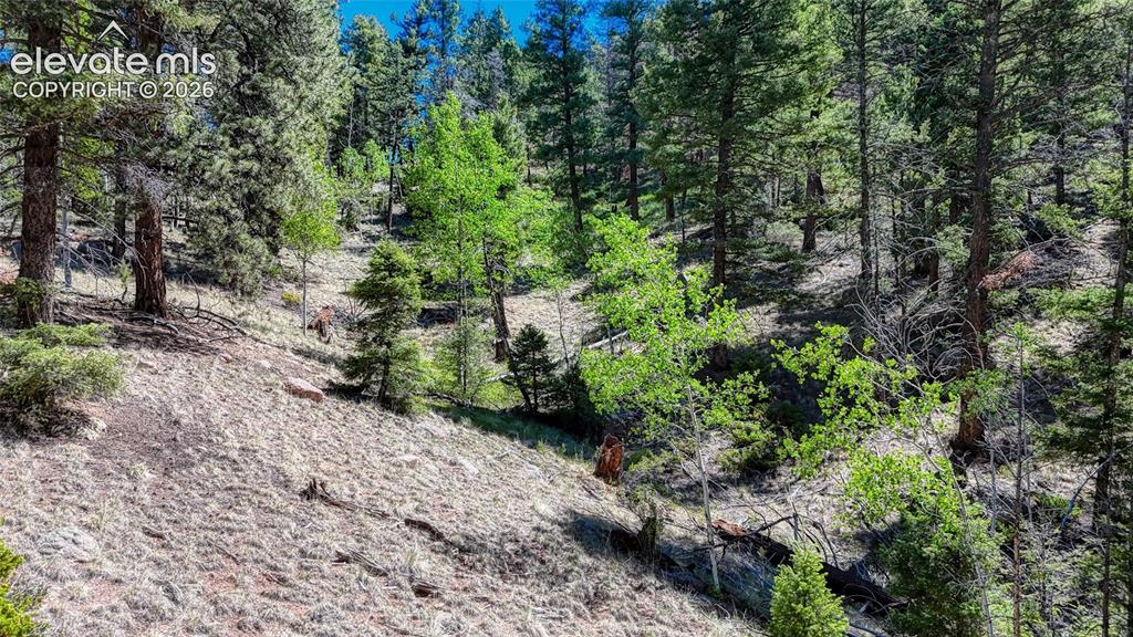 3454 N Mountain Estates Road Florissant CO 80816
