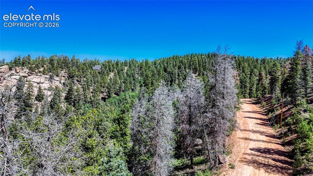 3454 N Mountain Estates Road Florissant CO 80816