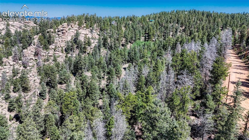 3454 N Mountain Estates Road Florissant CO 80816
