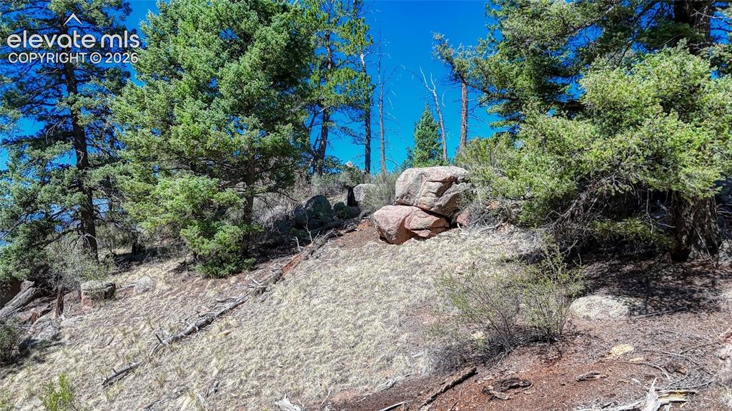3454 N Mountain Estates Road Florissant CO 80816
