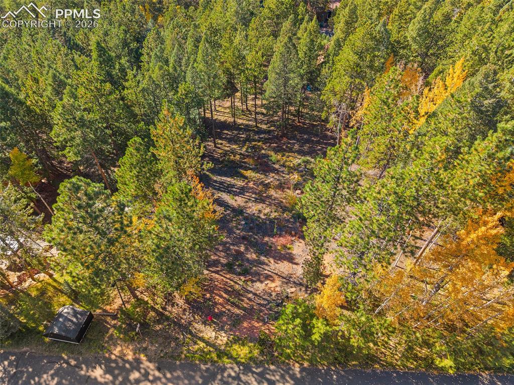 1320 Forest Edge Road Woodland Park CO 80863
