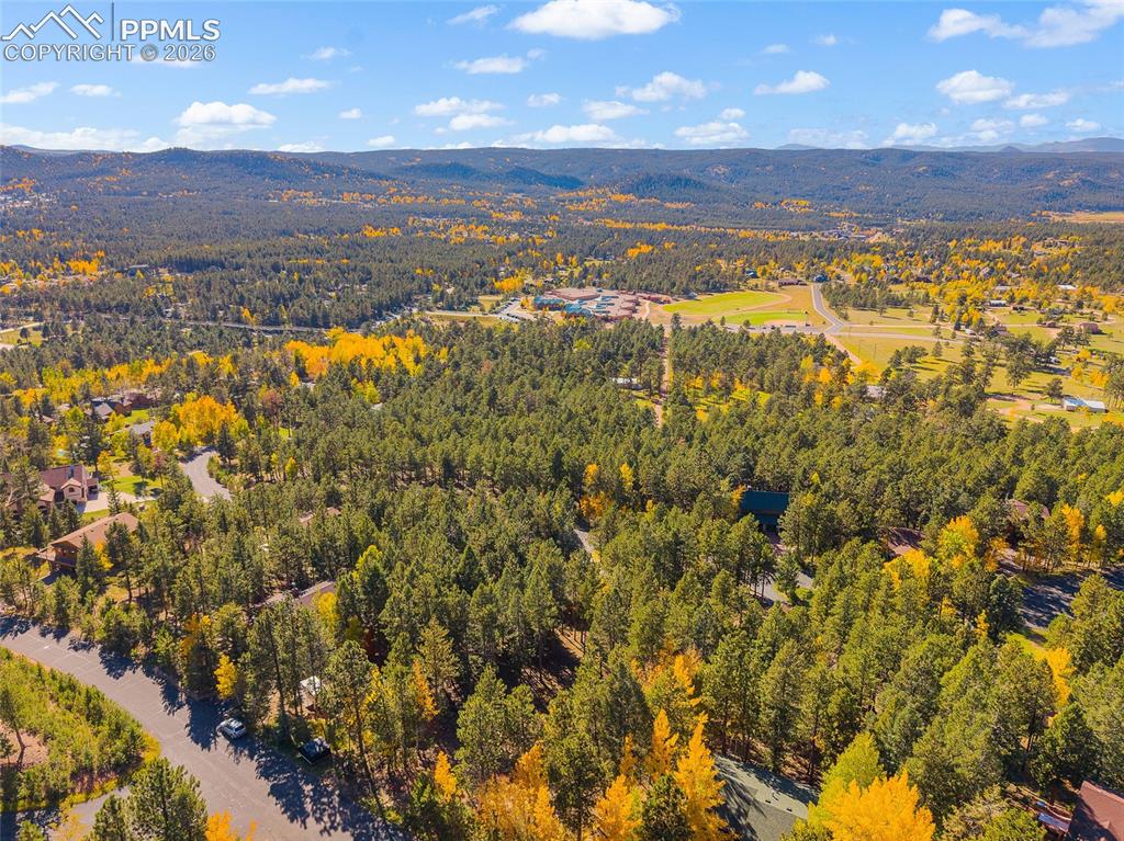 1320 Forest Edge Road Woodland Park CO 80863