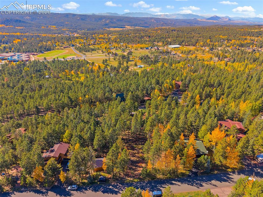 1320 Forest Edge Road Woodland Park CO 80863