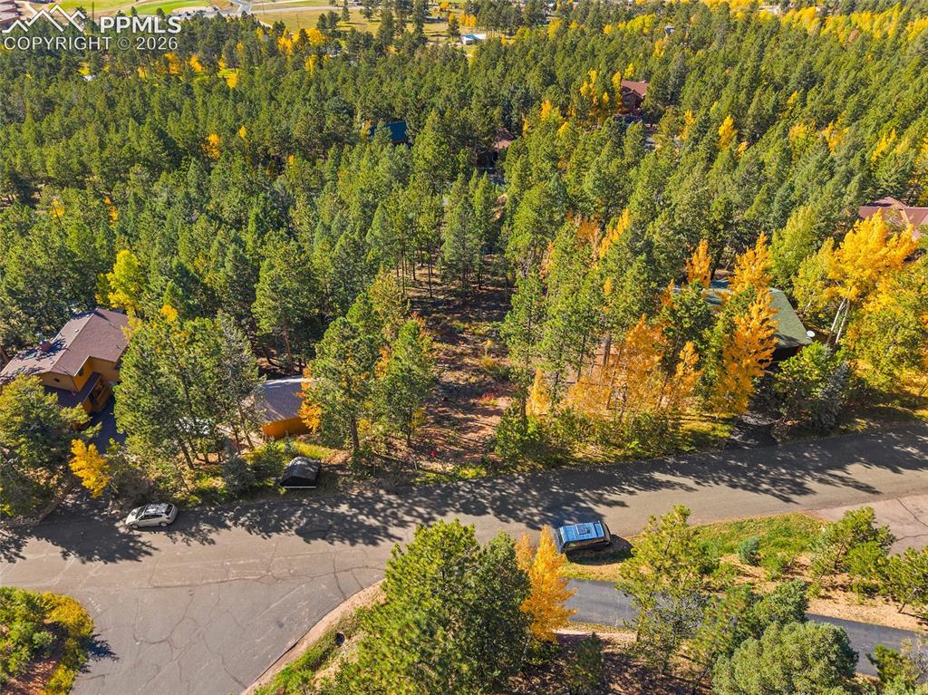 1320 Forest Edge Road Woodland Park CO 80863
