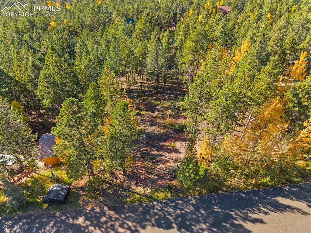 1320 Forest Edge Road Woodland Park CO 80863