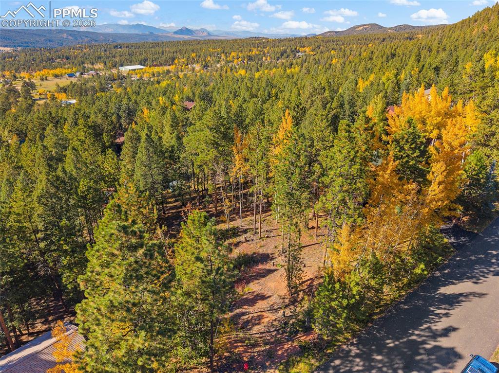 1320 Forest Edge Road Woodland Park CO 80863