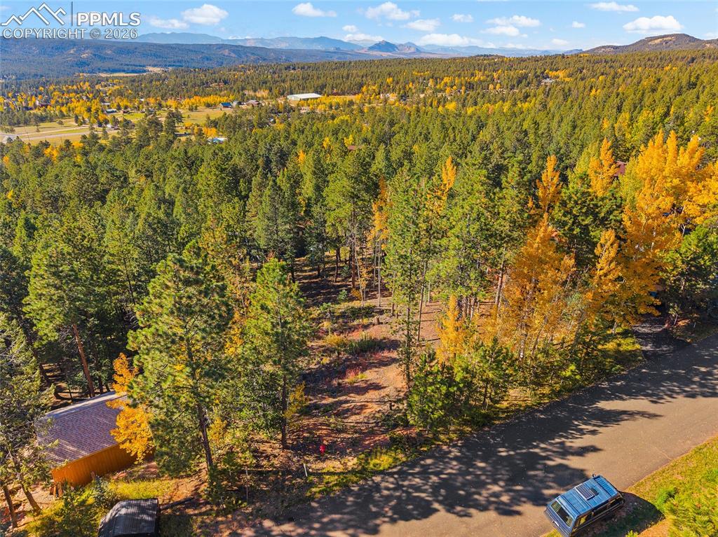 1320 Forest Edge Road Woodland Park CO 80863