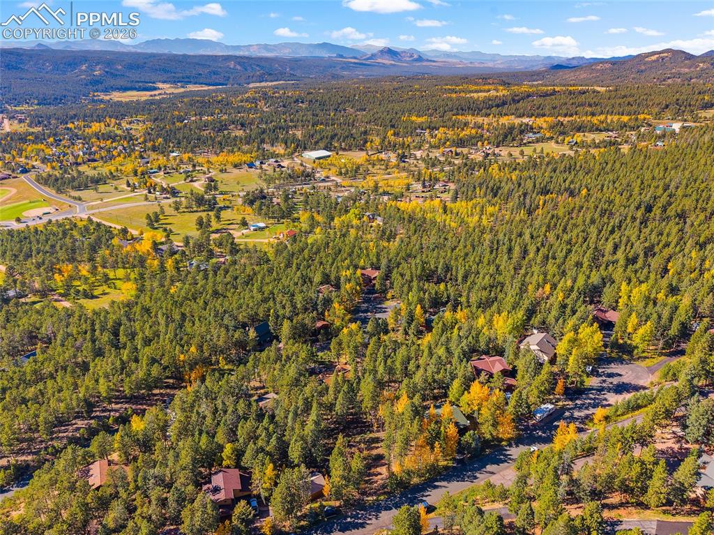 1320 Forest Edge Road Woodland Park CO 80863
