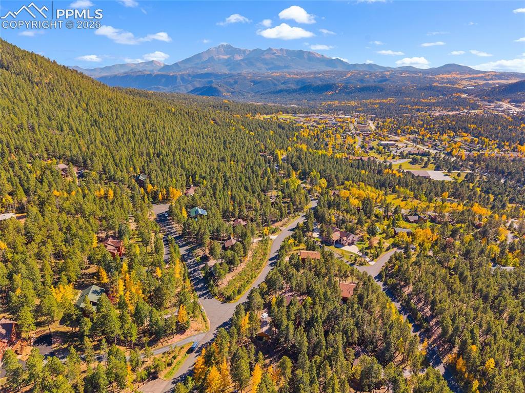 1320 Forest Edge Road Woodland Park CO 80863