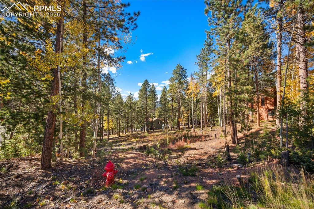 1320 Forest Edge Road Woodland Park CO 80863