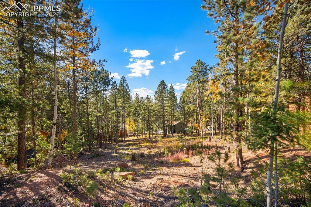 1320 Forest Edge Road Woodland Park CO 80863
