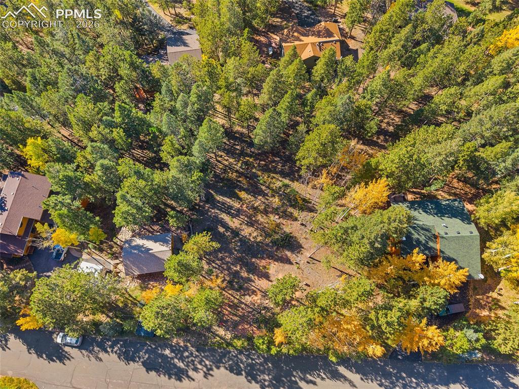 1320 Forest Edge Road Woodland Park CO 80863