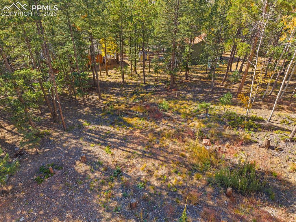 1320 Forest Edge Road Woodland Park CO 80863
