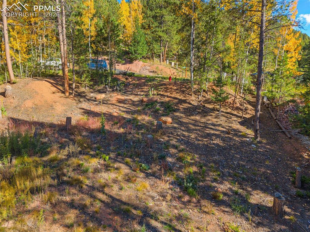 1320 Forest Edge Road Woodland Park CO 80863