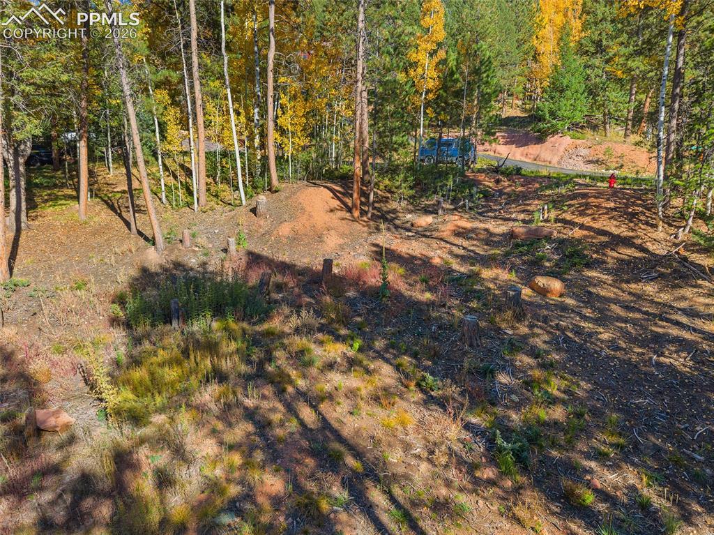 1320 Forest Edge Road Woodland Park CO 80863