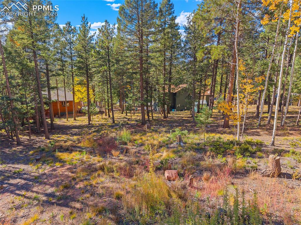 1320 Forest Edge Road Woodland Park CO 80863