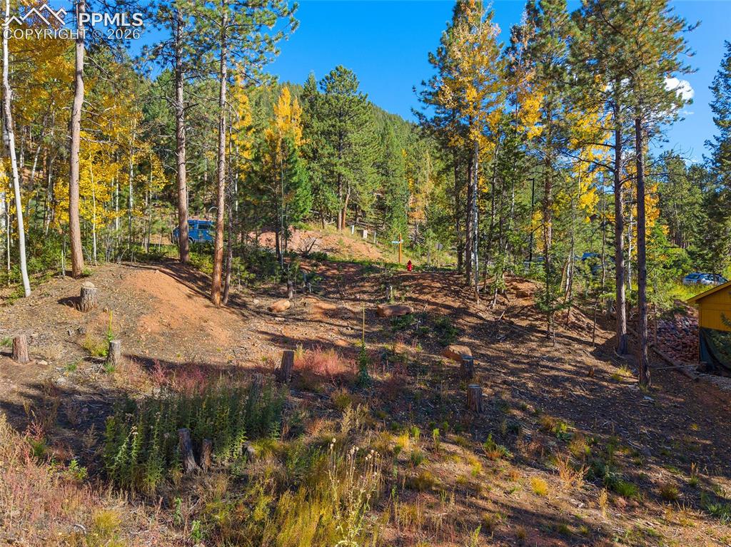 1320 Forest Edge Road Woodland Park CO 80863