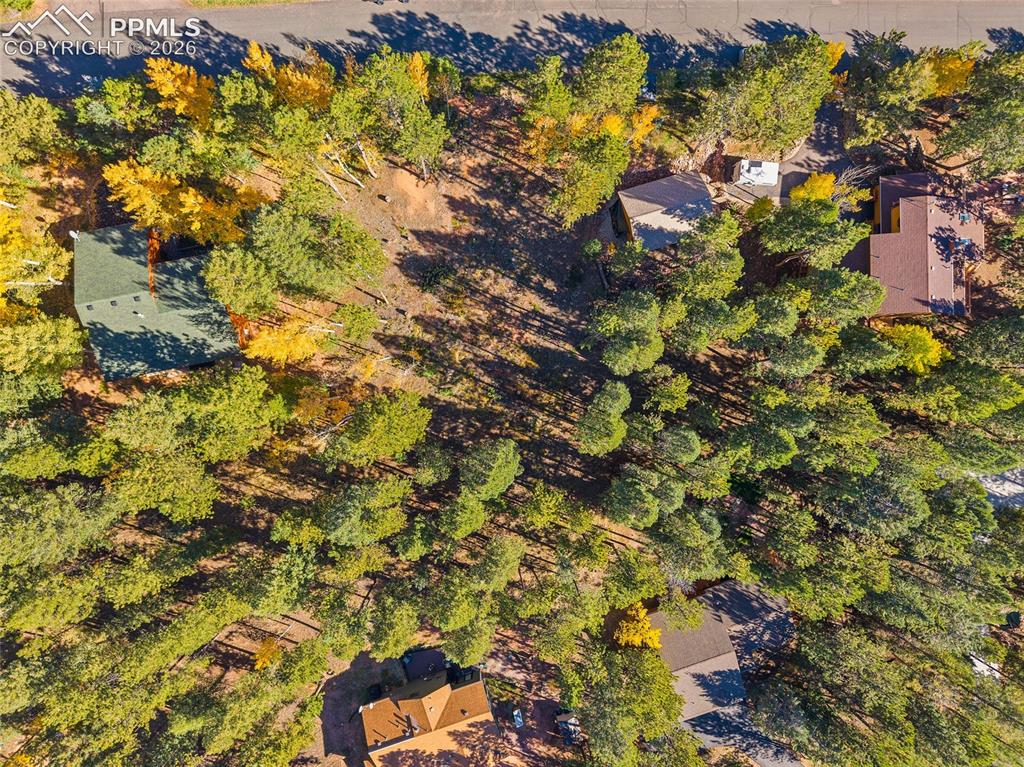 1320 Forest Edge Road Woodland Park CO 80863
