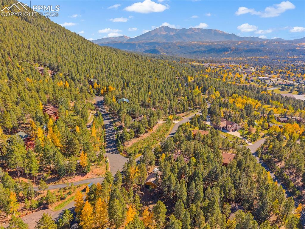 1320 Forest Edge Road Woodland Park CO 80863