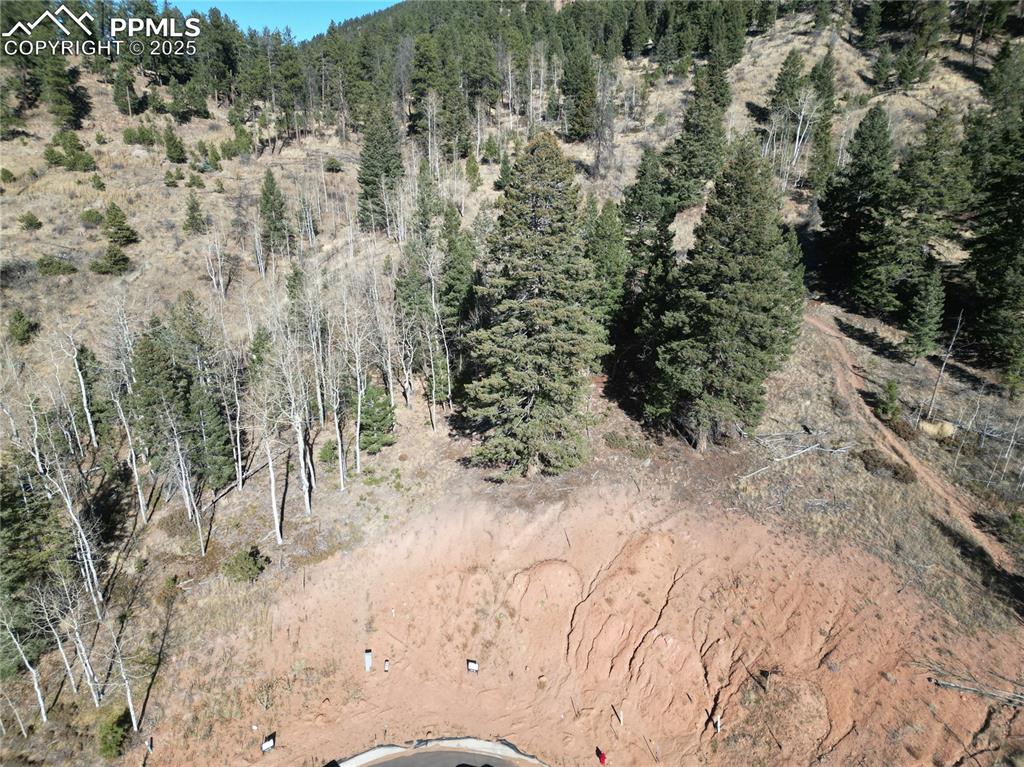 1380 Blue Haven Place Woodland Park CO 80863