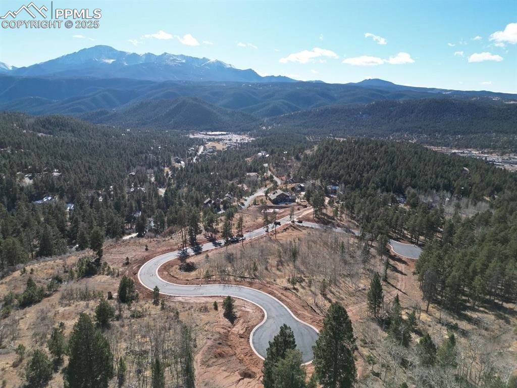 1380 Blue Haven Place Woodland Park CO 80863