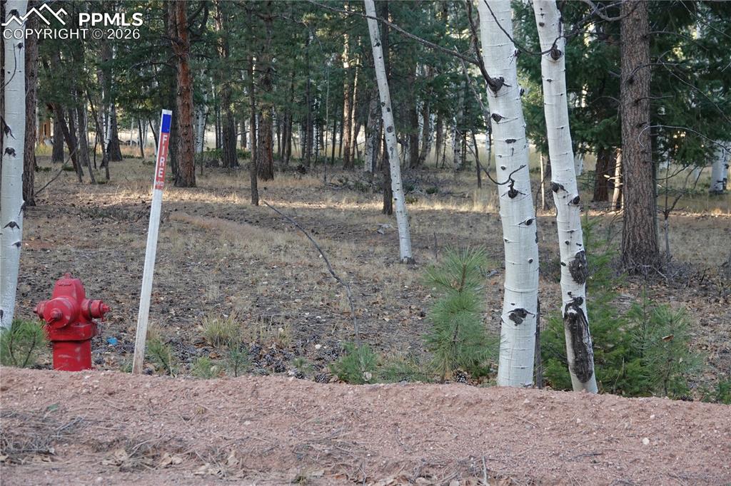 1360 Windflower Lane Woodland Park CO 80863