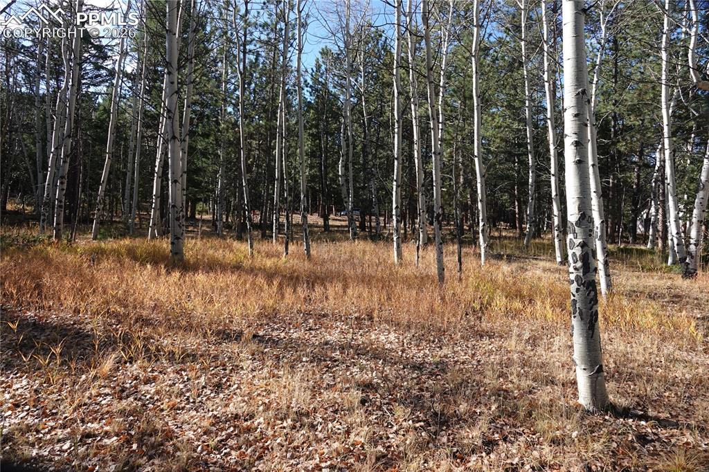 1360 Windflower Lane Woodland Park CO 80863