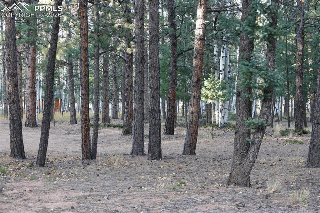 1360 Windflower Lane Woodland Park CO 80863