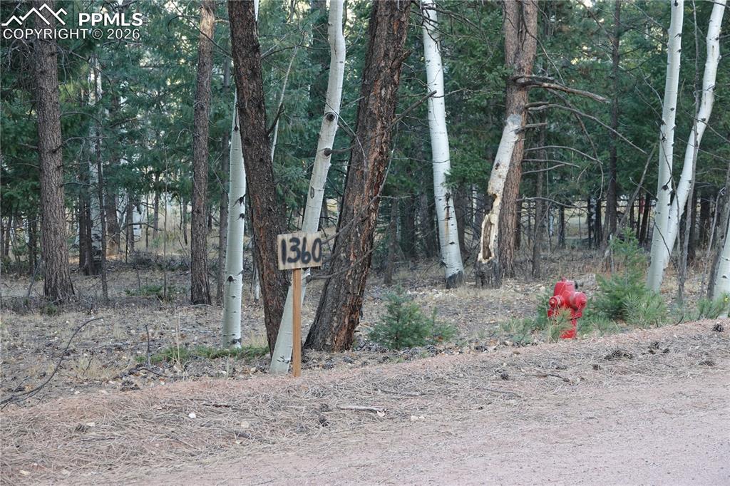 1360 Windflower Lane Woodland Park CO 80863