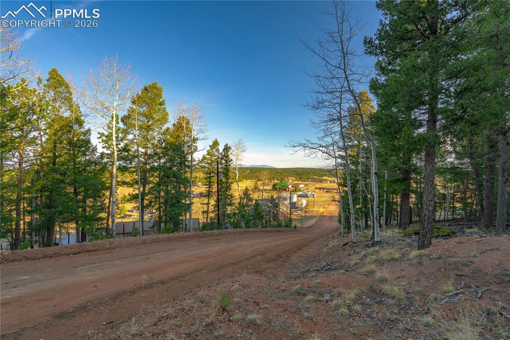 88 Malmsey Lane Divide CO 80814