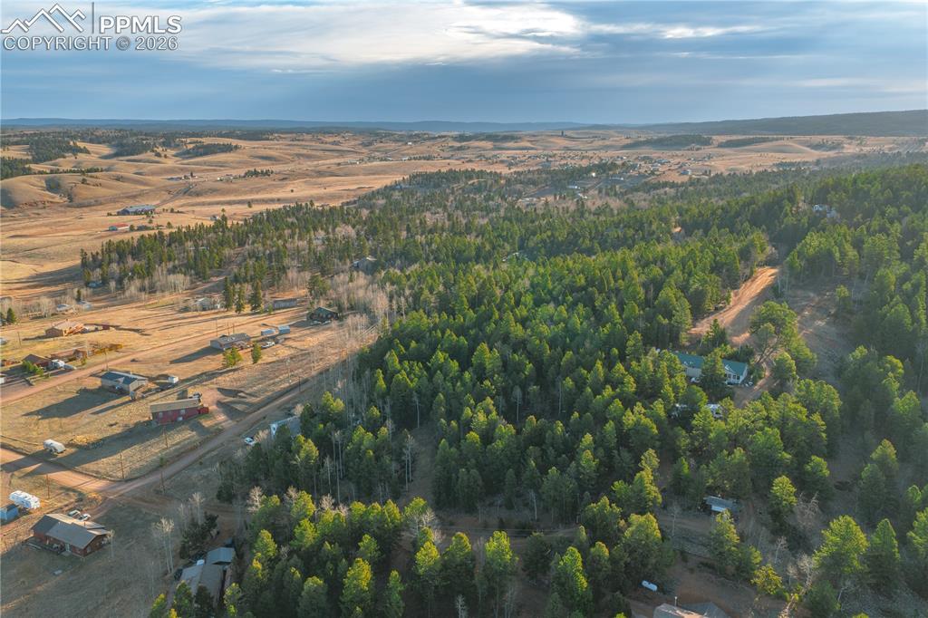 88 Malmsey Lane Divide CO 80814