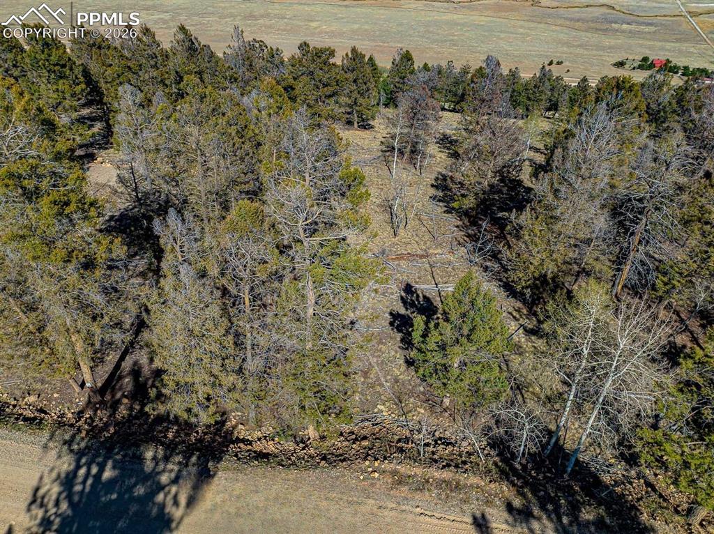5302 Middle Fork Vista Fairplay CO 80440