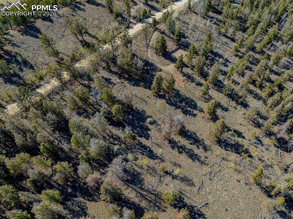 5302 Middle Fork Vista Fairplay CO 80440