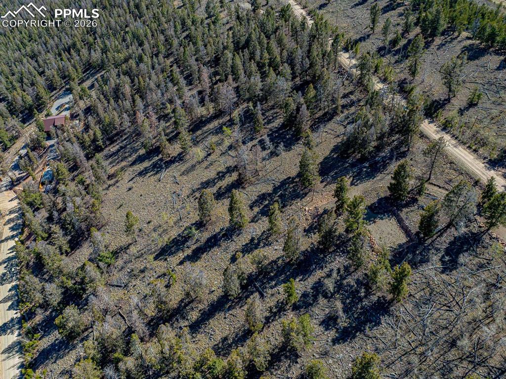 5302 Middle Fork Vista Fairplay CO 80440