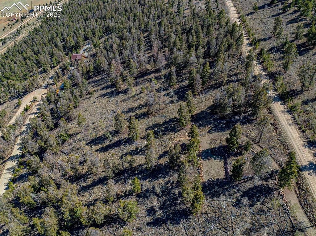 5302 Middle Fork Vista Fairplay CO 80440