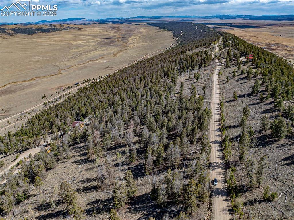 5302 Middle Fork Vista Fairplay CO 80440
