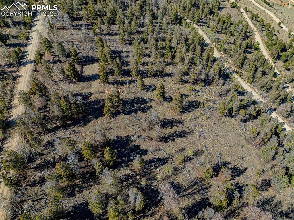 5302 Middle Fork Vista Fairplay CO 80440