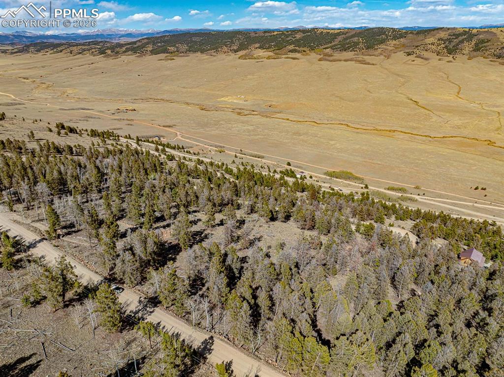 5302 Middle Fork Vista Fairplay CO 80440