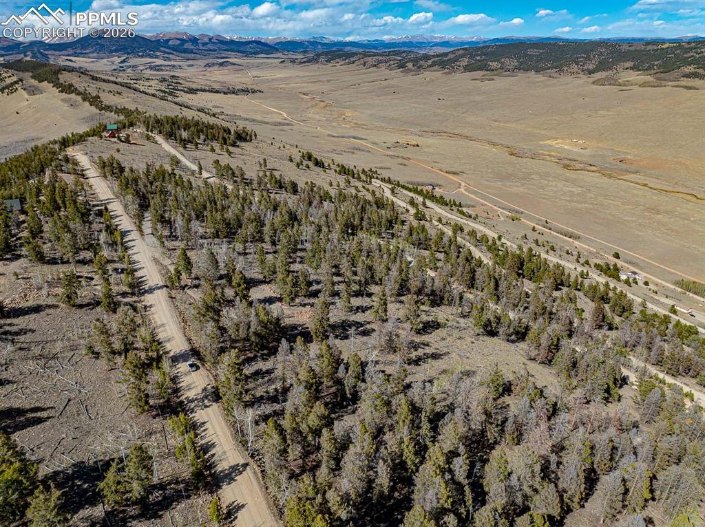 5302 Middle Fork Vista Fairplay CO 80440