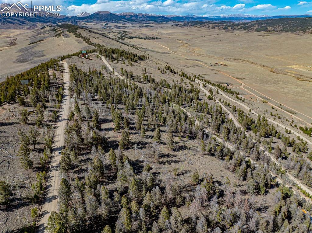 5302 Middle Fork Vista Fairplay CO 80440