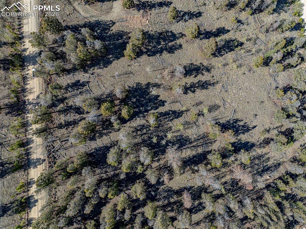 5302 Middle Fork Vista Fairplay CO 80440