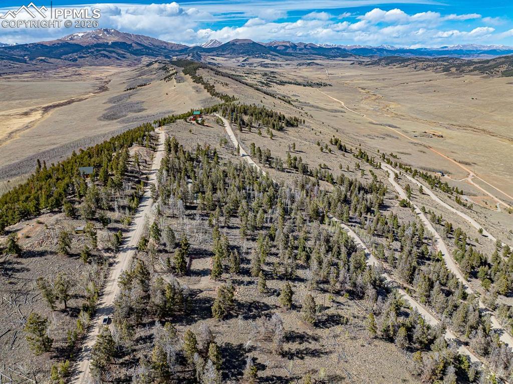 5302 Middle Fork Vista Fairplay CO 80440