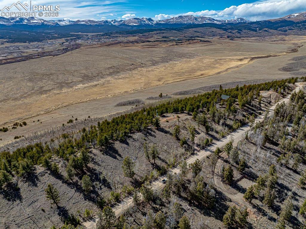 5302 Middle Fork Vista Fairplay CO 80440