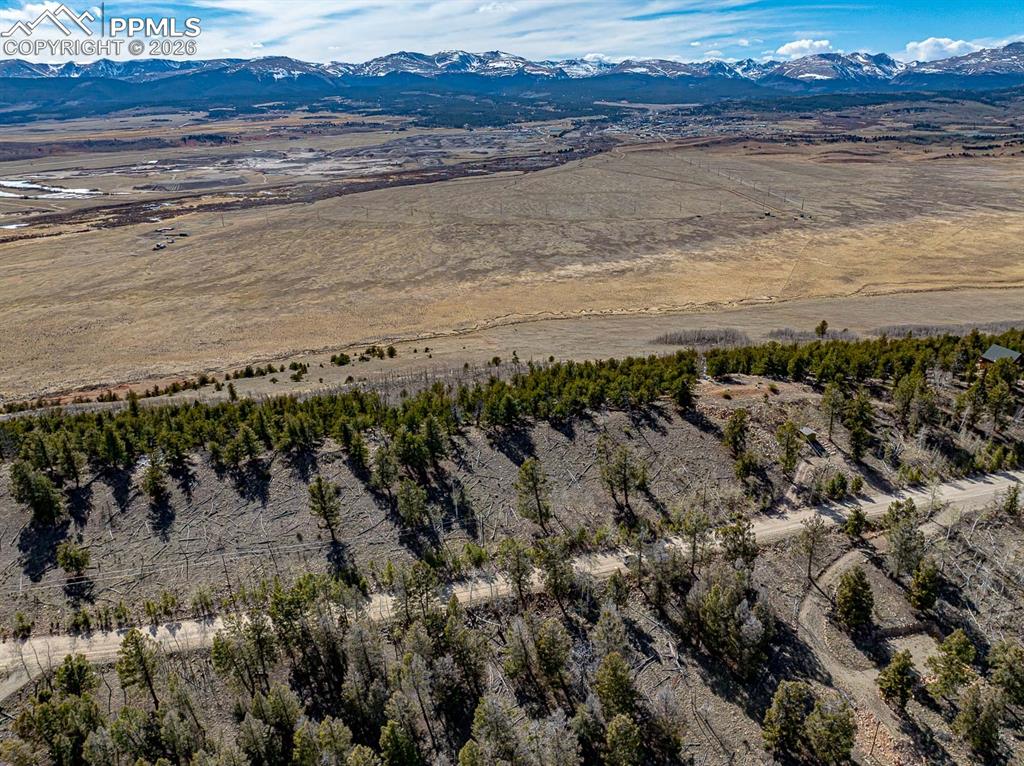 5302 Middle Fork Vista Fairplay CO 80440