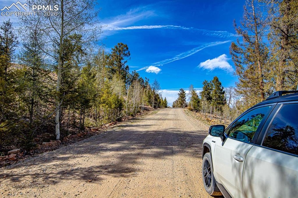 5302 Middle Fork Vista Fairplay CO 80440