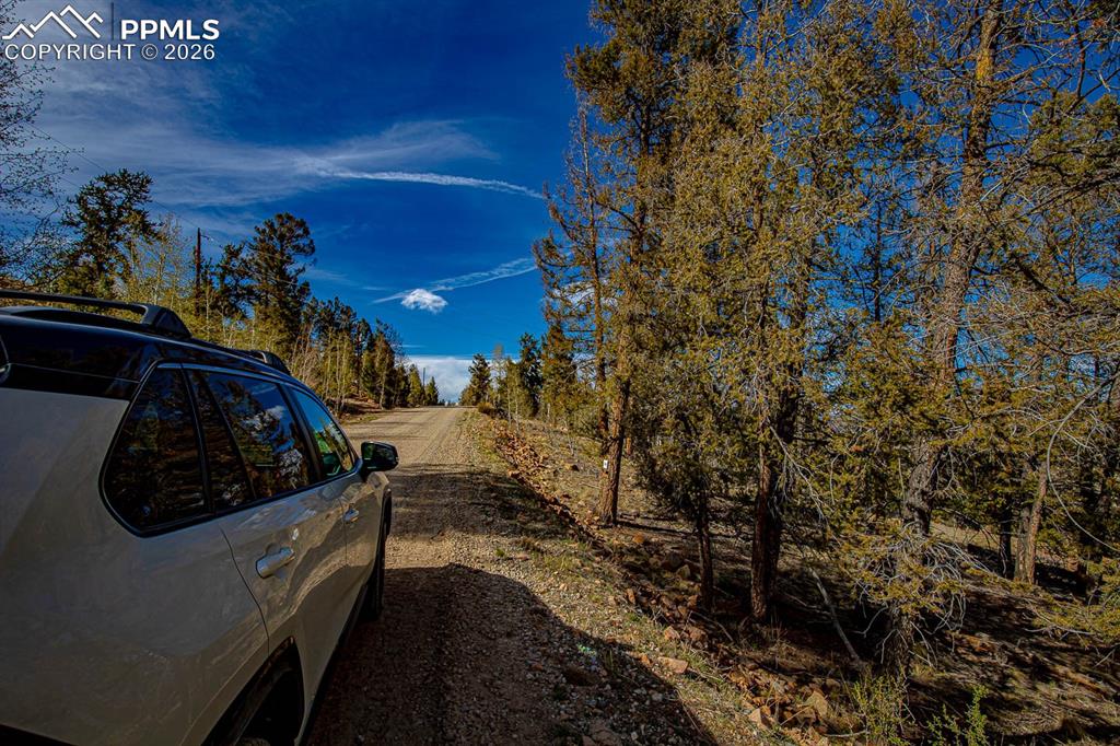 5302 Middle Fork Vista Fairplay CO 80440