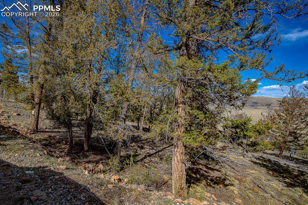 5302 Middle Fork Vista Fairplay CO 80440