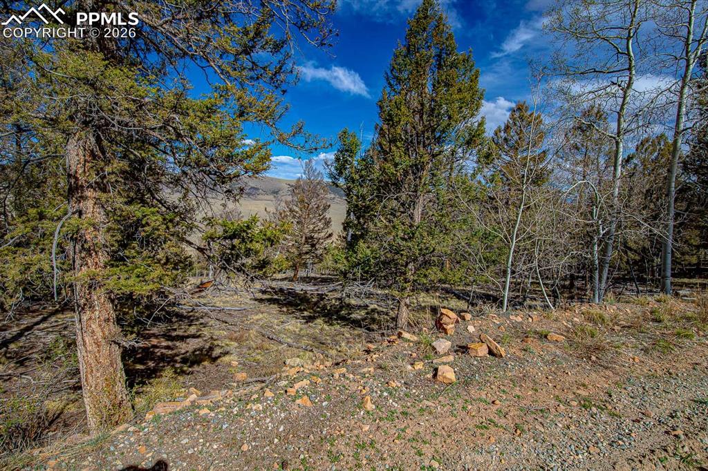 5302 Middle Fork Vista Fairplay CO 80440