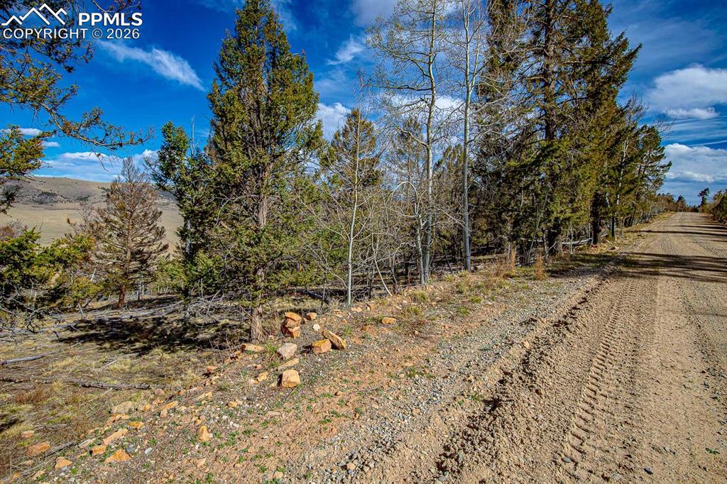 5302 Middle Fork Vista Fairplay CO 80440