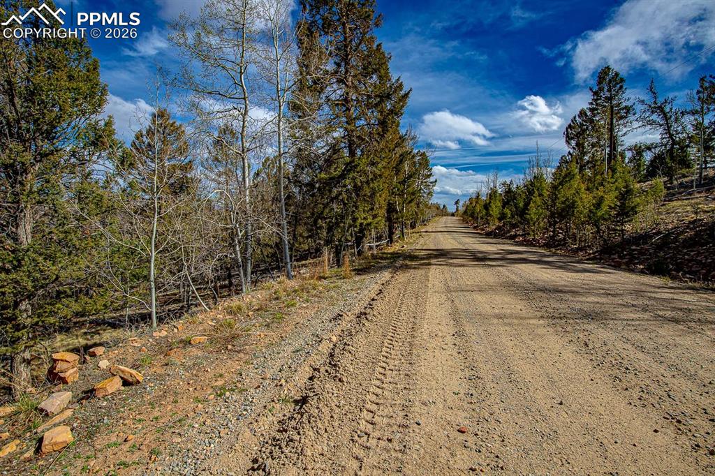 5302 Middle Fork Vista Fairplay CO 80440